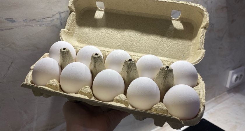 Куриные яйца не покупаю уже год: от этих 9 продуктов советуют отказаться ученые. А мы их едим и детям своим даем
