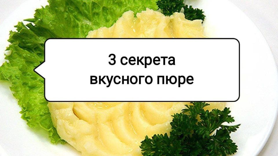    :     -