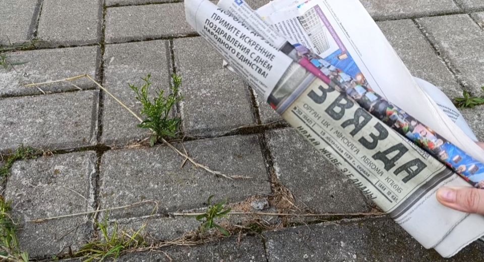 Эффективные стратегии борьбы с сорняками: от классики до современных методов