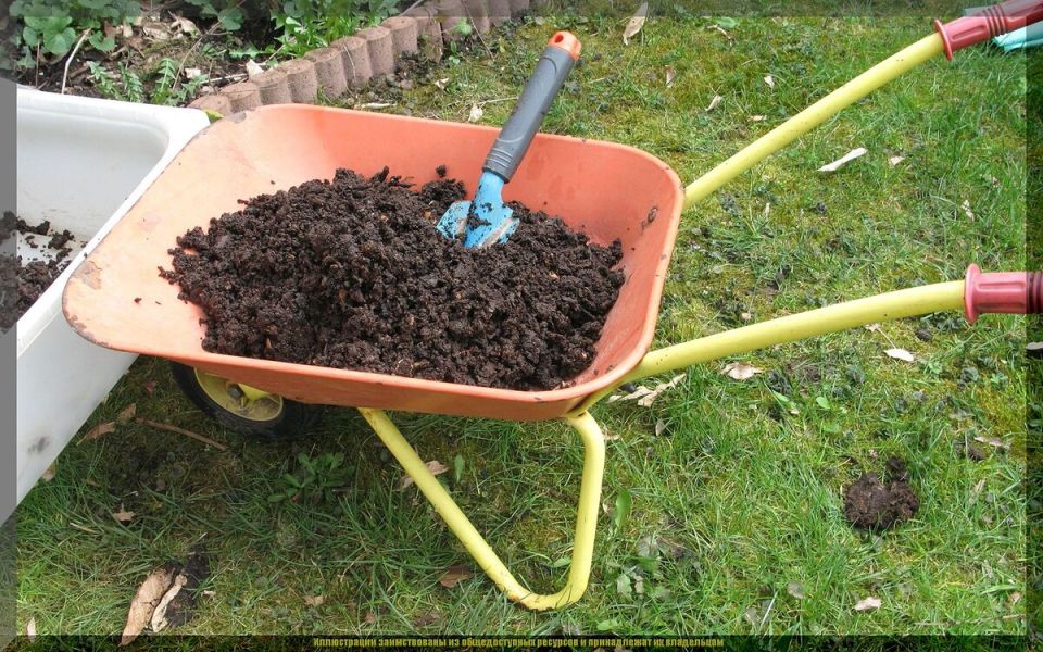 Как выжать максимум из небольшого огорода: советы для садоводов в октябре 2025 года