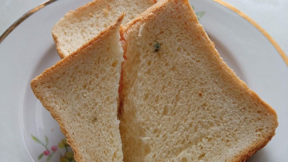 Почему хлеб плесневеет раньше срока: увлекательные факты от эксперта