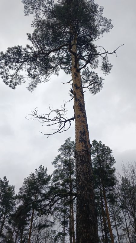 Как преодолеть тревогу за близких и обрести душевный покой