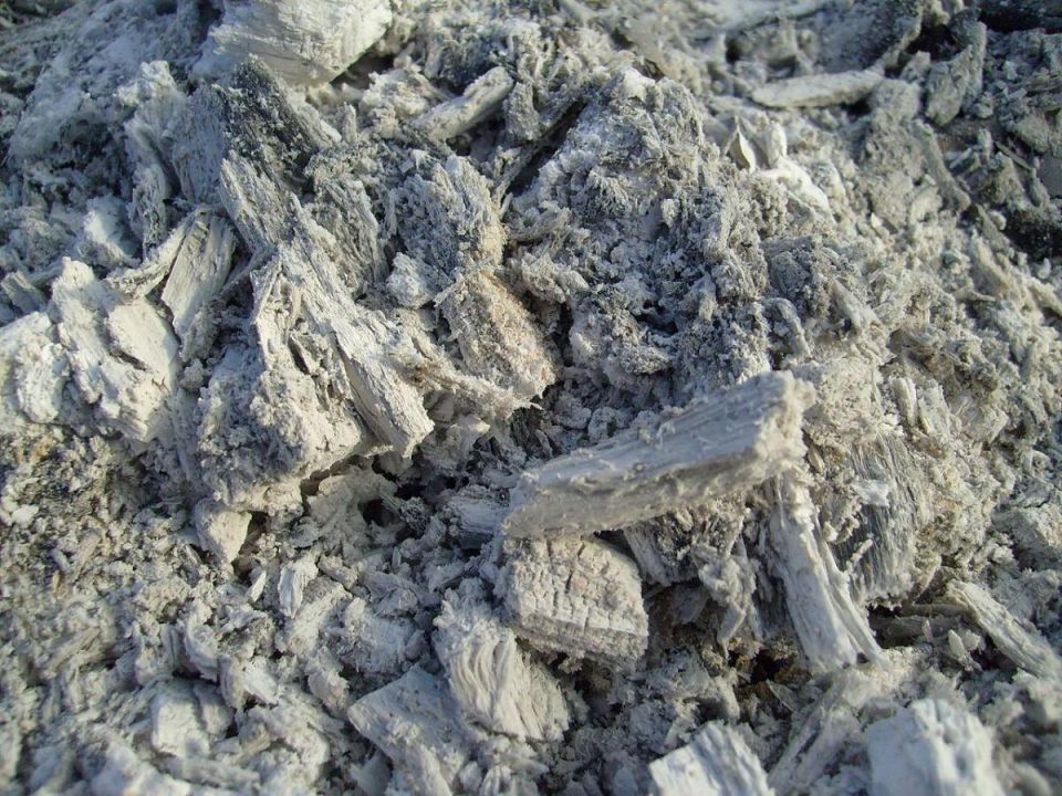 Почему зола может оказаться опасной для ваших ягодных культур