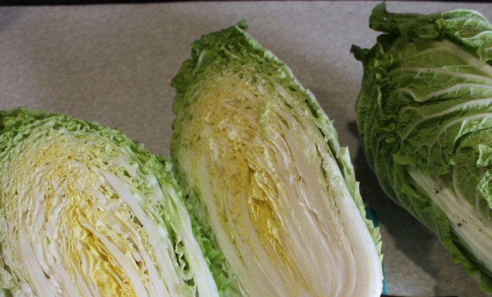 Некроз кочана: как защитить пекинскую капусту от этого недуга