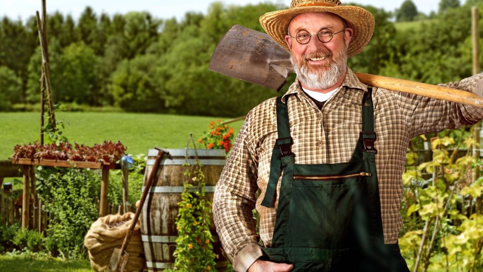 Компост погубит все посадки: это в него точно нельзя бросать