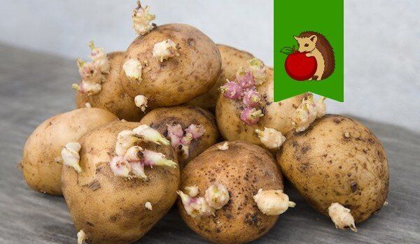 ��������� ���������: ������, �� ����� �� ��� ����?