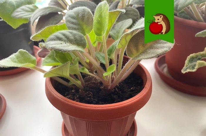 ������: ��� ������� ��������� ������ � �������� ������