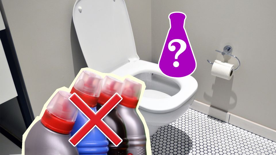 ��������� ���� ������� � ������: ������ ���� � ���� ������� �������� ����