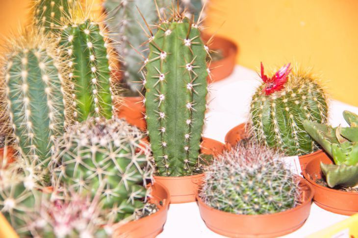 ������ �� ����� ������� ������� ����: 3 ������� ������� ������� �� ��� ����� ������