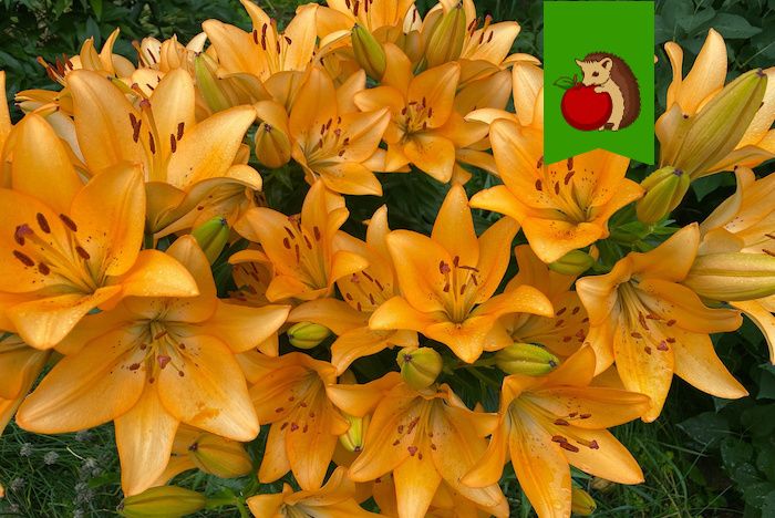 ��� ��������� ����� � ����: ��� 5 ������ ��� �������