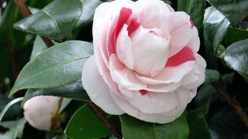 ������������ �������� ��� ����� ����