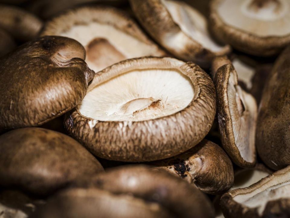 ��� ���������� ������ ��� � ������� �������: ������� ����������� �������