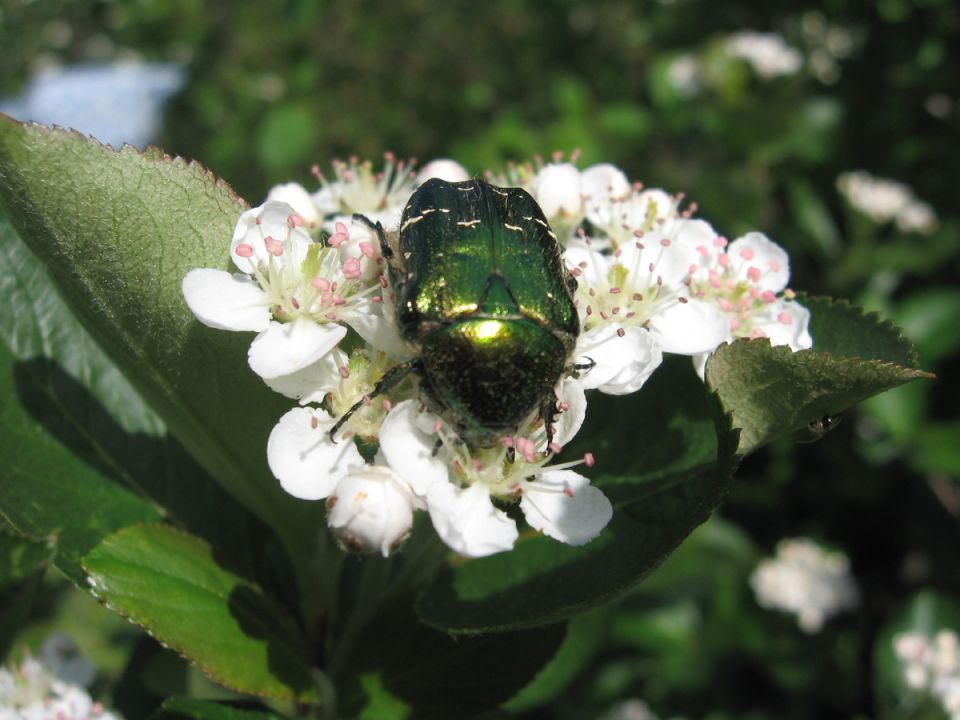 ������: ������������ ������ � ��������� ����������