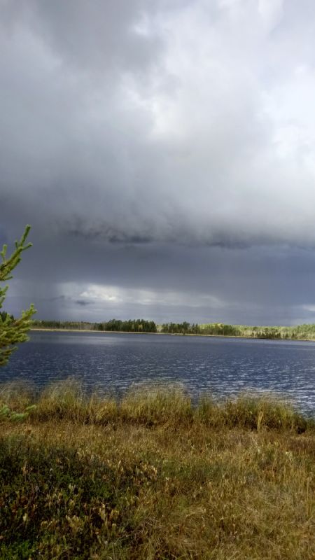 Уникальное путешествие по карельским болотам: сбор клюквы как искусство