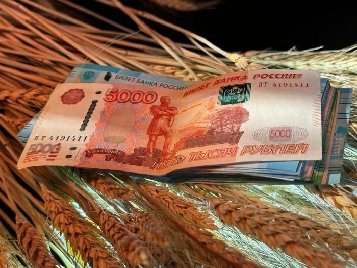 Пенсионные выплаты: изменения графика из-за праздничных дней