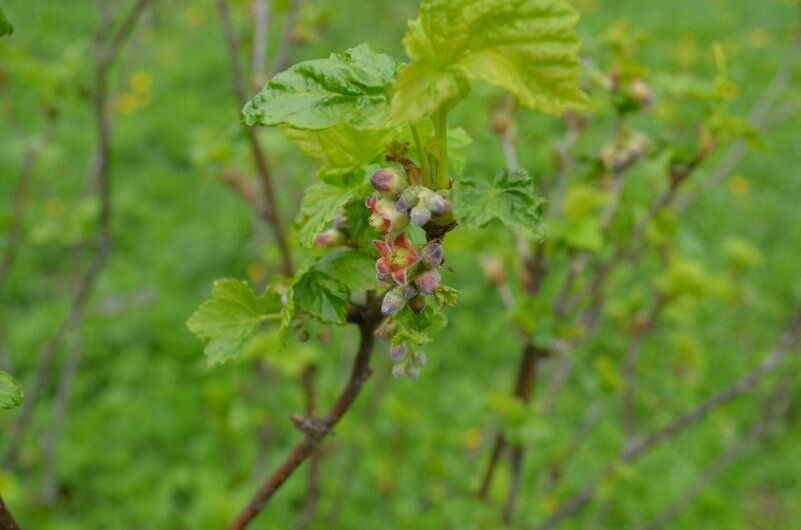 ���������: �������� ������� �������� ��������� ��� ������ ������