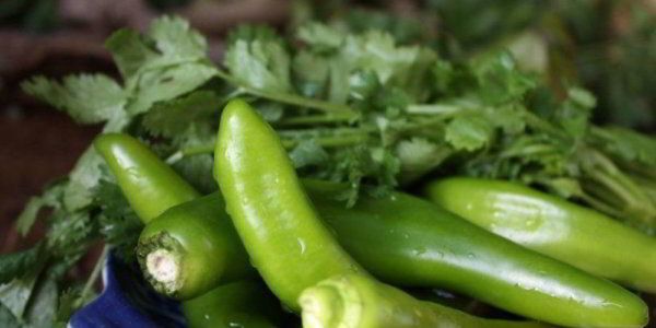 ������� ����� � ��������: ������� ����������� ��������