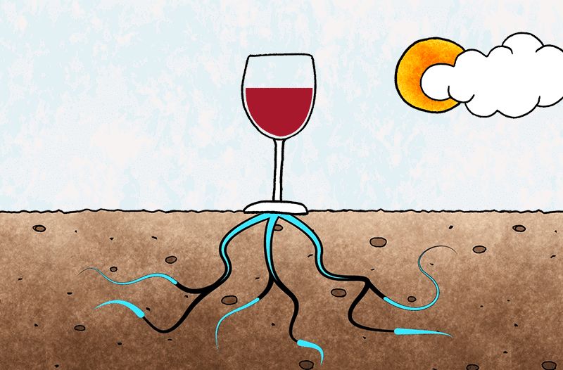 ������� � �������������: ��� ������� ��������� ������������ ���