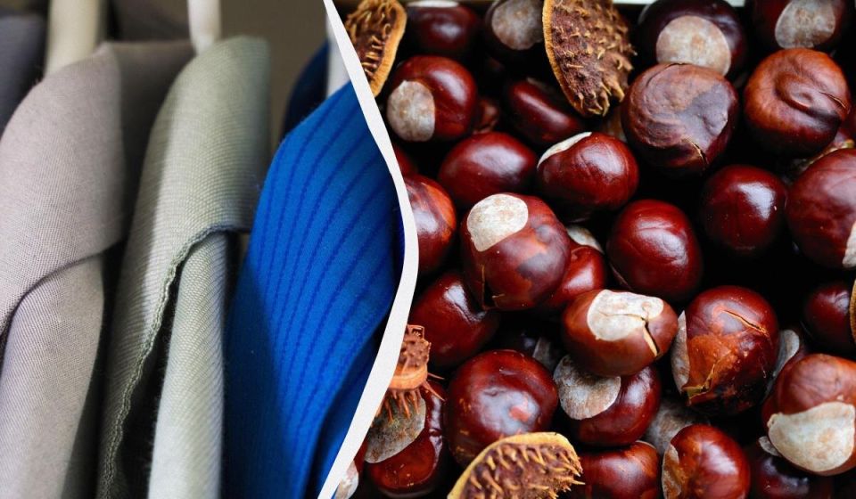 ������� � �����: ����������� ������������, � ������� ����� �����