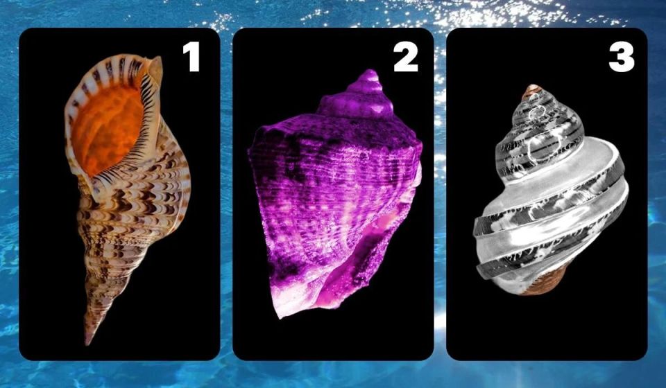 ��� ������� ��������� �������, ����� ������ ������� �������