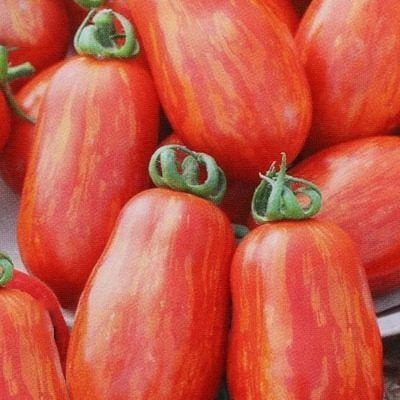 ����� ������ ���������: ���������� ����� ��� ������ ����