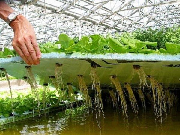 ����� ������� ����� �� ���������� ���������� ��� ������������ �����