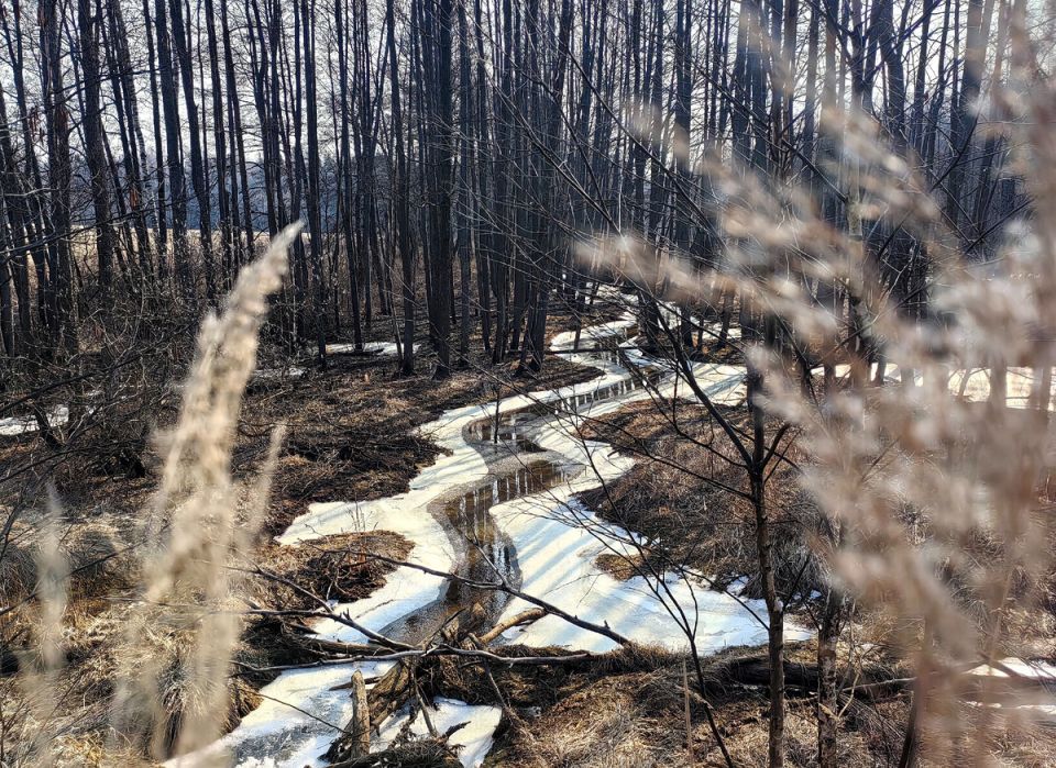 ��� ����� ��������� ������: ������� ������� ��� ���������� �������