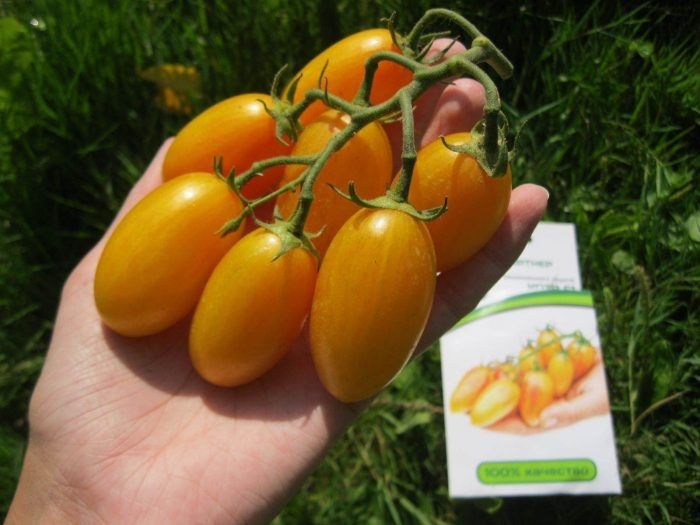 Томат Медовые пальчики: сладкость и форма для салатов и закусок