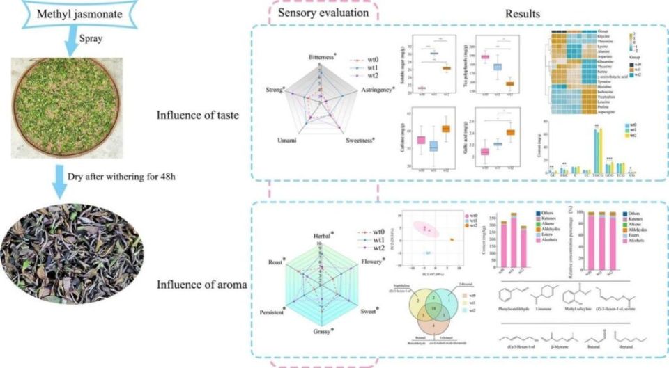 Разумный взгляд на добавки в белый чай и аромат
