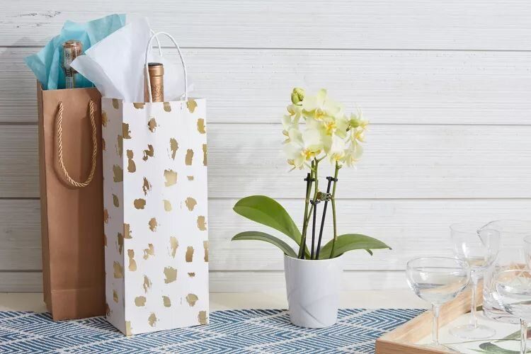 ��� ����� �������� ������ ��� ������ ���� � �����