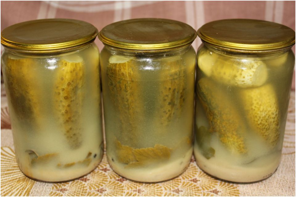 ������ ������ � ��������� �������� �� ����: ��������� ���������� ��������