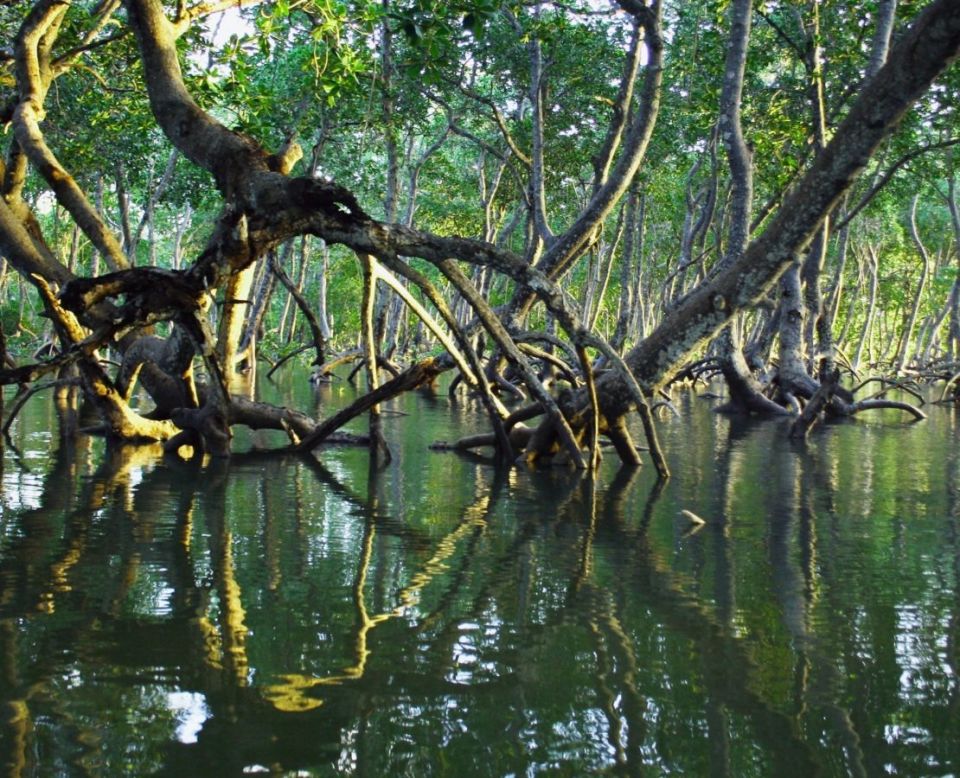 ��� ��������� ������� ����� � ������ ���� � ��� ��� ������ ��� ��������� ����������