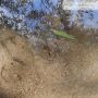 На чистой воде. Памятник природы - ключ-источник в поселке Товарково Дзержинского района Калужской области