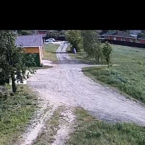 В Калуге бездомные собаки нападают на людей