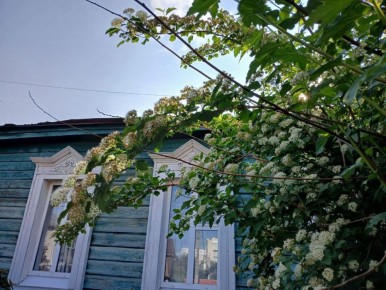 Теплую погоду с дождями прогнозируют в Калужской области