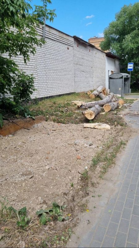ПО НАКАЗАМ ИЗБИРАТЕЛЕЙ. На встрече депутата Гордумы Андрея Линкова с жильцами дома № 34 по улице Глаголева был затронут вопрос сноса аварийных деревьев