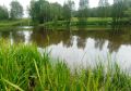 В Калуге рассказали, в каких водоемах можно купаться