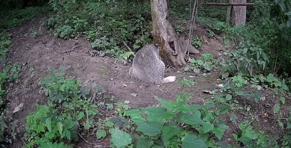    . &quot;        
