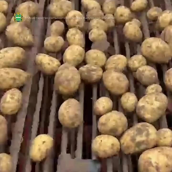     65%  