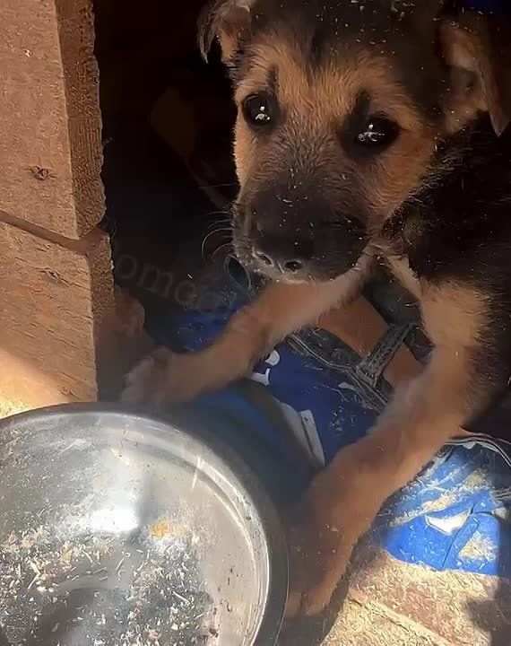  :  .   