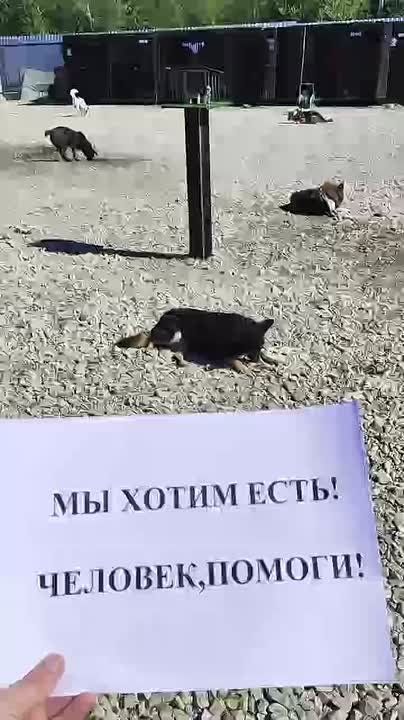   !.       100 ,  