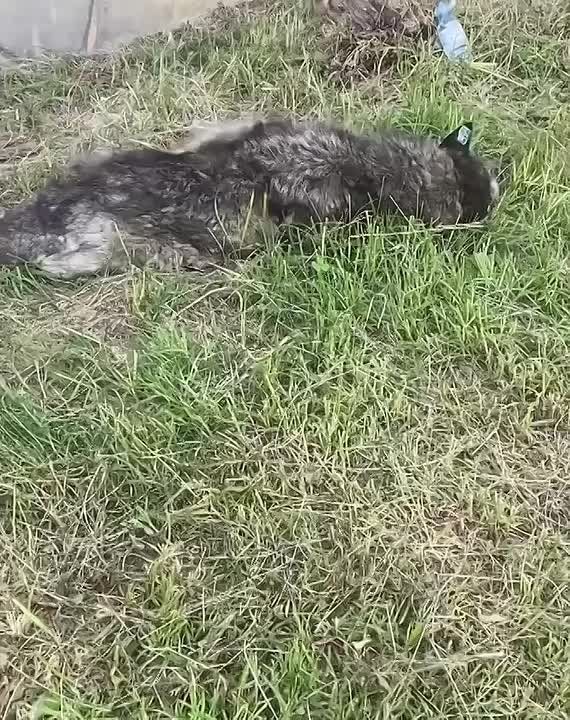  :   !         !