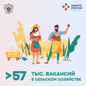   25     :       20    16,6  ,        7,5 