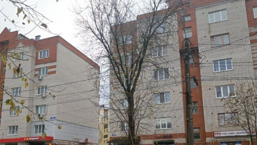 Калужанка попросила убрать два сухостоя