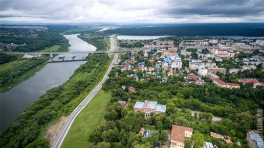 Глава ведомства поручил доложить о ходе расследования уголовного дела по факту нападения бродячих собак на жителей в Калужской области