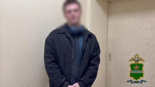 В Калуге нашли парня, который сломал деревья на улице Кирова