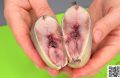 Солёная селёдка с пряным ароматом: рецепт, который дарит ностальгию