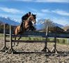 Калужский конник завоевал бронзу на чемпионате России