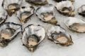 Какие закуски готовить с морепродуктами: опытные хозяйки дали свои рецепты оригинальных угощений