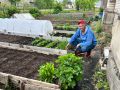 Инновационные грядки: как жители села превращают огороды в шедевры агрономии